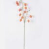 Artificial Flower 25*8*90cm Physalis peruviana *11 single stem GS-77626006 2026Aug 3,000+ sqm showroom with thousands of artificial flowers, plants & trees ready for global sourcing.
