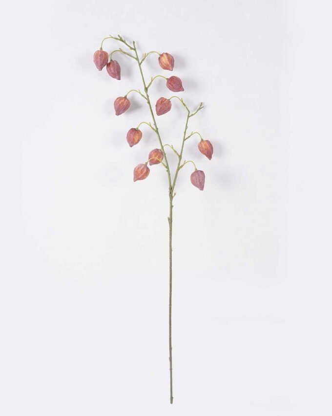Artificial Flower 25*8*90cm Physalis peruviana *11 single stem GS-77626006 2026Aug 3,000+ sqm showroom with thousands of artificial flowers, plants & trees ready for global sourcing.