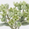 Artificial Flower 8*5*16cm Pistachio *10 single stem GS-59126011 2026Aug 3,000+ sqm showroom with thousands of artificial flowers, plants & trees ready for global sourcing.