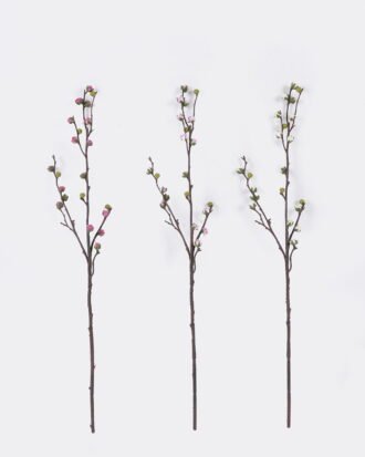 Artificial Flower 6*5*60cm Plum blossom single stem GS-15426023 2026Jun 3,000+ sqm showroom with thousands of artificial flowers, plants & trees ready for global sourcing. Artificial Flower 6*5*60cm Plum blossom single stem GS-15426023 2026Jun 3,000+ sqm showroom with thousands of artificial flowers, plants & trees ready for global sourcing.