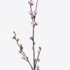 Artificial Flower Plum blossom single stem GS-15426023_2 Artificial Flower 6*5*60cm Plum blossom single stem GS-15426023 2026Jun 3,000+ sqm showroom with thousands of artificial flowers, plants & trees ready for global sourcing.