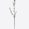 Artificial Flower Plum blossom single stem GS-15426023_5 Artificial Flower 6*5*60cm Plum blossom single stem GS-15426023 2026Jun 3,000+ sqm showroom with thousands of artificial flowers, plants & trees ready for global sourcing.