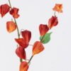Artificial Flower Poha 2 single stem GS-35126003-O2_1 Artificial Flower 20*8*96cm Poha *2 single stem GS-35126003-O2 2026Jul 3,000+ sqm showroom with thousands of artificial flowers, plants & trees ready for global sourcing.