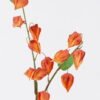Artificial Flower 20*8*96cm Poha *2 single stem GS-35126003 2026Jul 3,000+ sqm showroom with thousands of artificial flowers, plants & trees ready for global sourcing.