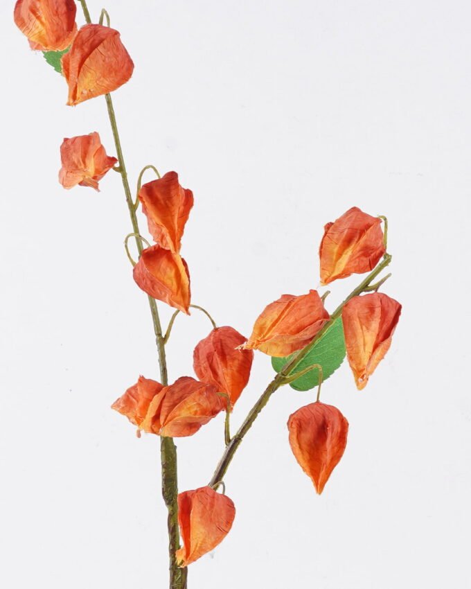 Artificial Flower 20*8*96cm Poha *2 single stem GS-35126003 2026Jul 3,000+ sqm showroom with thousands of artificial flowers, plants & trees ready for global sourcing.