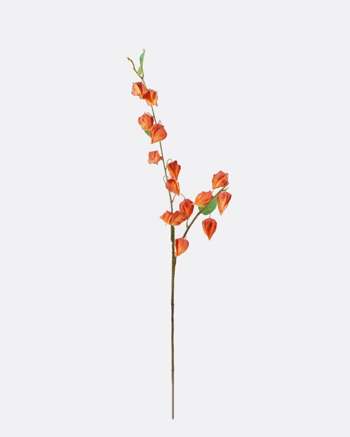 Artificial Flower 20*8*96cm Poha *2 single stem GS-35126003 2026Jul 3,000+ sqm showroom with thousands of artificial flowers, plants & trees ready for global sourcing.