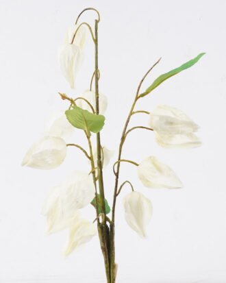 Artificial Flower 20*6*59cm Poha *3 bundle GS-35126005-W1 2026Jul 3,000+ sqm showroom with thousands of artificial flowers, plants & trees ready for global sourcing. Artificial Flower 20*6*59cm Poha *3 bundle GS-35126005-W1 2026Jul 3,000+ sqm showroom with thousands of artificial flowers, plants & trees ready for global sourcing.