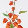 Artificial Flower 20*6*59cm Poha *3 bundle GS-35126005 2026Jul 3,000+ sqm showroom with thousands of artificial flowers, plants & trees ready for global sourcing.