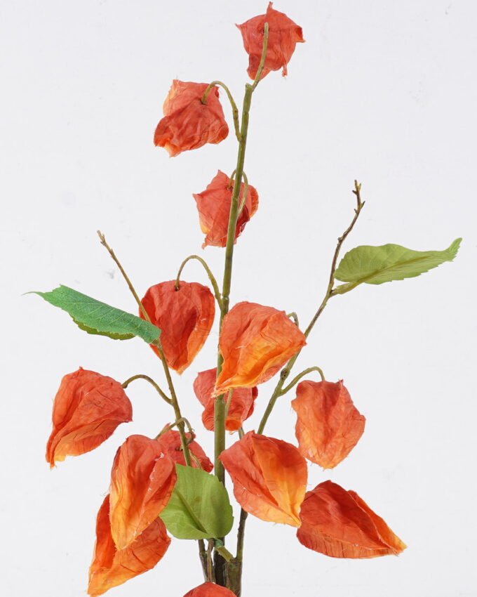 Artificial Flower 20*6*59cm Poha *3 bundle GS-35126005 2026Jul 3,000+ sqm showroom with thousands of artificial flowers, plants & trees ready for global sourcing.