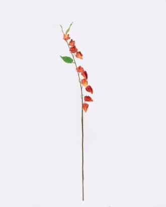 Artificial Flower 8*3*100cm Poha single stem GS-35126004-O2 2026Jul 3,000+ sqm showroom with thousands of artificial flowers, plants & trees ready for global sourcing. Artificial Flower 8*3*100cm Poha single stem GS-35126004-O2 2026Jul 3,000+ sqm showroom with thousands of artificial flowers, plants & trees ready for global sourcing.