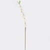 Artificial Flower Poha single stem GS-35126004-W1_3 Artificial Flower 8*3*100cm Poha single stem GS-35126004-W1 2026Jul 3,000+ sqm showroom with thousands of artificial flowers, plants & trees ready for global sourcing.