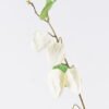 Artificial Flower Poha single stem GS-35126004-W1_5 Artificial Flower 8*3*100cm Poha single stem GS-35126004-W1 2026Jul 3,000+ sqm showroom with thousands of artificial flowers, plants & trees ready for global sourcing.