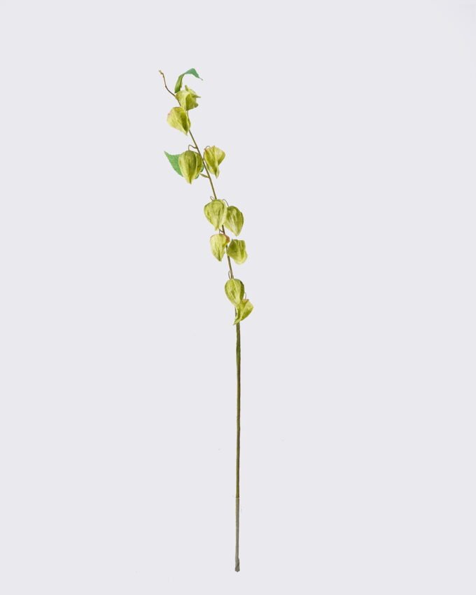 Artificial Flower Poha single stem GS-35126004_4 Artificial Flower 8*3*100cm Poha single stem GS-35126004 2026Jul 3,000+ sqm showroom with thousands of artificial flowers, plants & trees ready for global sourcing.