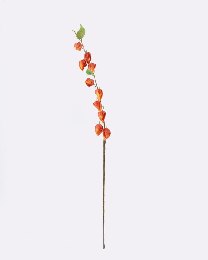 Artificial Flower Poha single stem GS-35126004_5 Artificial Flower 8*3*100cm Poha single stem GS-35126004 2026Jul 3,000+ sqm showroom with thousands of artificial flowers, plants & trees ready for global sourcing.