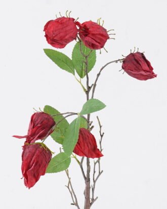 Artificial Flower 16*4*70cm Poha single stem GS-35126008-R1 2026Jul 3,000+ sqm showroom with thousands of artificial flowers, plants & trees ready for global sourcing. Artificial Flower 16*4*70cm Poha single stem GS-35126008-R1 2026Jul 3,000+ sqm showroom with thousands of artificial flowers, plants & trees ready for global sourcing.