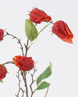 Artificial Flower 16*4*70cm Poha single stem GS-35126008 2026Jul 3,000+ sqm showroom with thousands of artificial flowers, plants & trees ready for global sourcing. Artificial Flower 16*4*70cm Poha single stem GS-35126008 2026Jul 3,000+ sqm showroom with thousands of artificial flowers, plants & trees ready for global sourcing.