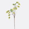 Artificial Flower Poha single stem GS-35126009-G1 Artificial Flower 18*5*89cm Poha single stem GS-35126009-G1 2026Jul 3,000+ sqm showroom with thousands of artificial flowers, plants & trees ready for global sourcing.