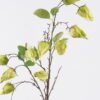 Artificial Flower Poha single stem GS-35126009-G1_1 Artificial Flower 18*5*89cm Poha single stem GS-35126009-G1 2026Jul 3,000+ sqm showroom with thousands of artificial flowers, plants & trees ready for global sourcing.