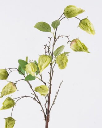 Artificial Flower 18*5*89cm Poha single stem GS-35126009-G1 2026Jul 3,000+ sqm showroom with thousands of artificial flowers, plants & trees ready for global sourcing. Artificial Flower 18*5*89cm Poha single stem GS-35126009-G1 2026Jul 3,000+ sqm showroom with thousands of artificial flowers, plants & trees ready for global sourcing.