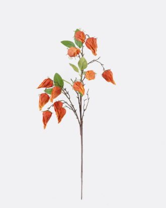 Artificial Flower 18*5*89cm Poha single stem GS-35126009-O1 2026Jul 3,000+ sqm showroom with thousands of artificial flowers, plants & trees ready for global sourcing. Artificial Flower 18*5*89cm Poha single stem GS-35126009-O1 2026Jul 3,000+ sqm showroom with thousands of artificial flowers, plants & trees ready for global sourcing.