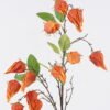 Artificial Flower Poha single stem GS-35126009-O1_1 Artificial Flower 18*5*89cm Poha single stem GS-35126009-O1 2026Jul 3,000+ sqm showroom with thousands of artificial flowers, plants & trees ready for global sourcing.