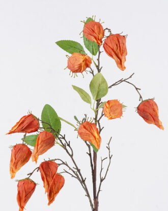 Artificial Flower 18*5*89cm Poha single stem GS-35126009-O1 2026Jul 3,000+ sqm showroom with thousands of artificial flowers, plants & trees ready for global sourcing. Artificial Flower 18*5*89cm Poha single stem GS-35126009-O1 2026Jul 3,000+ sqm showroom with thousands of artificial flowers, plants & trees ready for global sourcing.