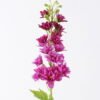 Artificial Flower Poisonweed single stem GS-48226003-Z1_1 Artificial Flower 10*5*81cm Poisonweed single stem GS-48226003-Z1 2026Aug 3,000+ sqm showroom with thousands of artificial flowers, plants & trees ready for global sourcing.