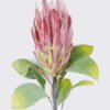 Artificial Flower Protea cynaroides single stem GS-59026001-G3_1 Artificial Flower 18*7*67cm Protea cynaroides single stem GS-59026001-G3 2026Aug 3,000+ sqm showroom with thousands of artificial flowers, plants & trees ready for global sourcing.
