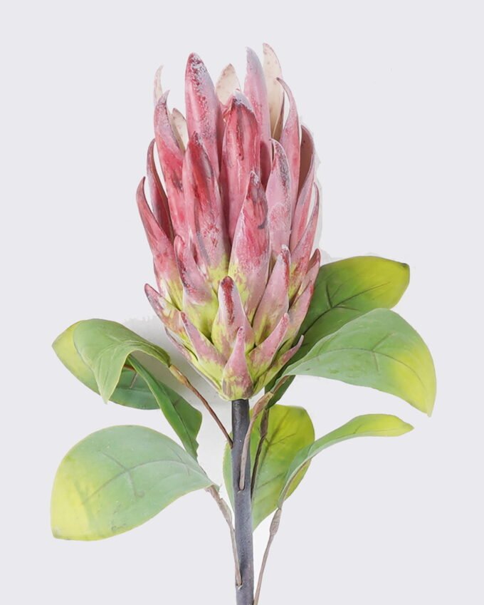 Artificial Flower Protea cynaroides single stem GS-59026001-G3_1 Artificial Flower 18*7*67cm Protea cynaroides single stem GS-59026001-G3 2026Aug 3,000+ sqm showroom with thousands of artificial flowers, plants & trees ready for global sourcing.