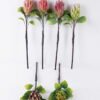 Artificial Flower Protea cynaroides single stem GS-59026001_1 Artificial Flower 18*7*67cm Protea cynaroides single stem GS-59026001 2026Aug 3,000+ sqm showroom with thousands of artificial flowers, plants & trees ready for global sourcing.