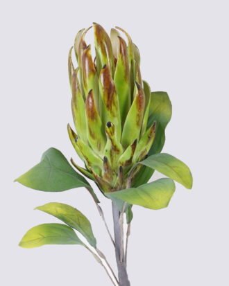 Artificial Flower 18*7*67cm Protea cynaroides single stem GS-59026001 2026Aug 3,000+ sqm showroom with thousands of artificial flowers, plants & trees ready for global sourcing. Artificial Flower 18*7*67cm Protea cynaroides single stem GS-59026001 2026Aug 3,000+ sqm showroom with thousands of artificial flowers, plants & trees ready for global sourcing.