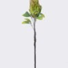 Artificial Flower Protea cynaroides single stem GS-59026001_3 Artificial Flower 18*7*67cm Protea cynaroides single stem GS-59026001 2026Aug 3,000+ sqm showroom with thousands of artificial flowers, plants & trees ready for global sourcing.