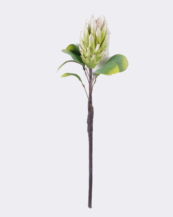 Artificial Flower Protea cynaroides single stem GS-59026001_4 Artificial Flower 18*7*67cm Protea cynaroides single stem GS-59026001 2026Aug 3,000+ sqm showroom with thousands of artificial flowers, plants & trees ready for global sourcing.