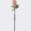 Artificial Flower Protea cynaroides single stem GS-59026001_5 Artificial Flower 18*7*67cm Protea cynaroides single stem GS-59026001 2026Aug 3,000+ sqm showroom with thousands of artificial flowers, plants & trees ready for global sourcing.