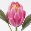 Artificial Flower Protea cynaroides single stem GS-83526006-R2_1 Artificial Flower 13*7*53cm Protea cynaroides single stem GS-83526006-R2 2026SEP 3,000+ sqm showroom with thousands of artificial flowers, plants & trees ready for global sourcing.