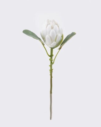 Artificial Flower 13*7*53cm Protea cynaroides single stem GS-83526006-W1 2026SEP 3,000+ sqm showroom with thousands of artificial flowers, plants & trees ready for global sourcing. Artificial Flower 13*7*53cm Protea cynaroides single stem GS-83526006-W1 2026SEP 3,000+ sqm showroom with thousands of artificial flowers, plants & trees ready for global sourcing.
