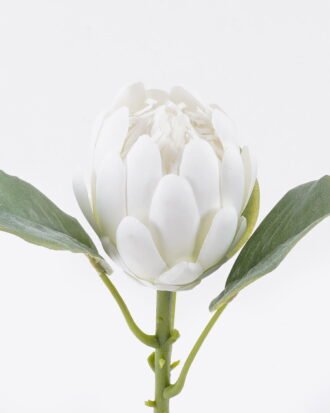 Artificial Flower 13*7*53cm Protea cynaroides single stem GS-83526006-W1 2026SEP 3,000+ sqm showroom with thousands of artificial flowers, plants & trees ready for global sourcing. Artificial Flower 13*7*53cm Protea cynaroides single stem GS-83526006-W1 2026SEP 3,000+ sqm showroom with thousands of artificial flowers, plants & trees ready for global sourcing.