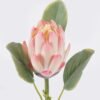 Artificial Flower Protea cynaroides single stem GS-83526006-Y1_1 Artificial Flower 13*7*53cm Protea cynaroides single stem GS-83526006-Y1 2026SEP 3,000+ sqm showroom with thousands of artificial flowers, plants & trees ready for global sourcing.