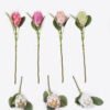 Artificial Flower Protea cynaroides single stem GS-83526006_1 Artificial Flower 13*7*53cm Protea cynaroides single stem GS-83526006 2026SEP 3,000+ sqm showroom with thousands of artificial flowers, plants & trees ready for global sourcing.
