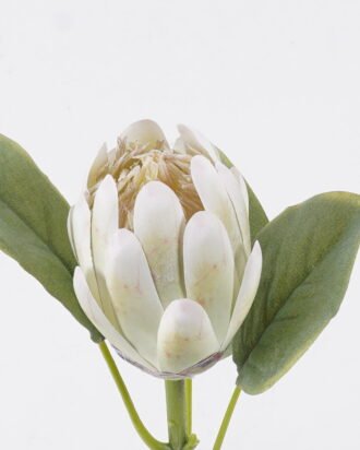 Artificial Flower 13*7*53cm Protea cynaroides single stem GS-83526006 2026SEP 3,000+ sqm showroom with thousands of artificial flowers, plants & trees ready for global sourcing. Artificial Flower 13*7*53cm Protea cynaroides single stem GS-83526006 2026SEP 3,000+ sqm showroom with thousands of artificial flowers, plants & trees ready for global sourcing.