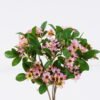 Artificial Flower Rhaphiolepis bundle GS-37526005_4 Artificial Flower 23*7*36cm Rhaphiolepis bundle GS-37526005 2026Jul 3,000+ sqm showroom with thousands of artificial flowers, plants & trees ready for global sourcing.