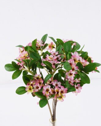 Artificial Flower 23*7*36cm Rhaphiolepis bundle GS-37526005 2026Jul 3,000+ sqm showroom with thousands of artificial flowers, plants & trees ready for global sourcing. Artificial Flower 23*7*36cm Rhaphiolepis bundle GS-37526005 2026Jul 3,000+ sqm showroom with thousands of artificial flowers, plants & trees ready for global sourcing.