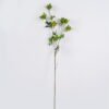 Artificial Flower Rhaphiolepis single stem GS-37526006-Y1 Artificial Flower 16*6*107cm Rhaphiolepis single stem GS-37526006-Y1 2026Jul 3,000+ sqm showroom with thousands of artificial flowers, plants & trees ready for global sourcing.