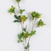 Artificial Flower Rhaphiolepis single stem GS-37526006-Y1_2 Artificial Flower 16*6*107cm Rhaphiolepis single stem GS-37526006-Y1 2026Jul 3,000+ sqm showroom with thousands of artificial flowers, plants & trees ready for global sourcing.