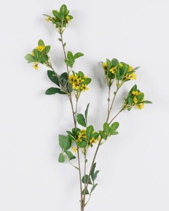 Artificial Flower 16*6*107cm Rhaphiolepis single stem GS-37526006-Y1 2026Jul 3,000+ sqm showroom with thousands of artificial flowers, plants & trees ready for global sourcing. Artificial Flower 16*6*107cm Rhaphiolepis single stem GS-37526006-Y1 2026Jul 3,000+ sqm showroom with thousands of artificial flowers, plants & trees ready for global sourcing.