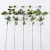 Artificial Flower Rhaphiolepis single stem GS-37526006_1 Artificial Flower 16*6*107cm Rhaphiolepis single stem GS-37526006 2026Jul 3,000+ sqm showroom with thousands of artificial flowers, plants & trees ready for global sourcing.
