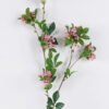 Artificial Flower Rhaphiolepis single stem GS-37526006_2 Artificial Flower 16*6*107cm Rhaphiolepis single stem GS-37526006 2026Jul 3,000+ sqm showroom with thousands of artificial flowers, plants & trees ready for global sourcing.