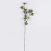 Artificial Flower Rhaphiolepis single stem GS-37526006_3 Artificial Flower 16*6*107cm Rhaphiolepis single stem GS-37526006 2026Jul 3,000+ sqm showroom with thousands of artificial flowers, plants & trees ready for global sourcing.