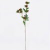 Artificial Flower Rhaphiolepis single stem GS-37526006_4 Artificial Flower 16*6*107cm Rhaphiolepis single stem GS-37526006 2026Jul 3,000+ sqm showroom with thousands of artificial flowers, plants & trees ready for global sourcing.