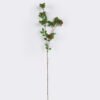 Artificial Flower Rhaphiolepis single stem GS-37526006_5 Artificial Flower 16*6*107cm Rhaphiolepis single stem GS-37526006 2026Jul 3,000+ sqm showroom with thousands of artificial flowers, plants & trees ready for global sourcing.